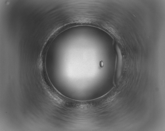 X0000073870584200608101512