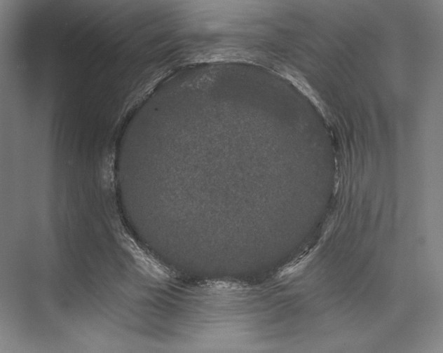 X0000073870585200608101512