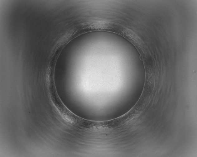 X0000073870586200608101512