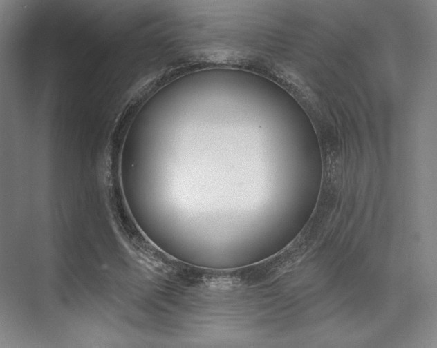 X0000073870587200608101512