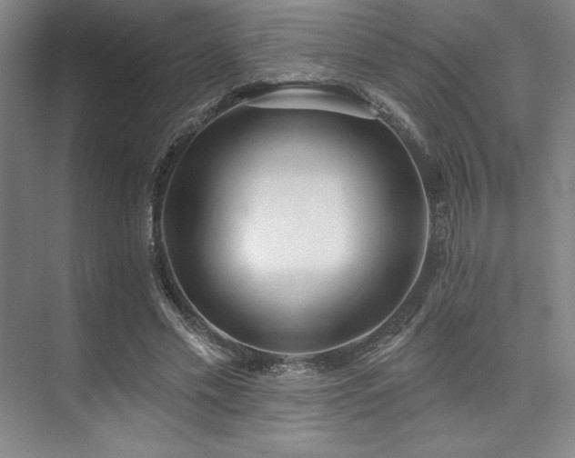 X0000073870589200608101512