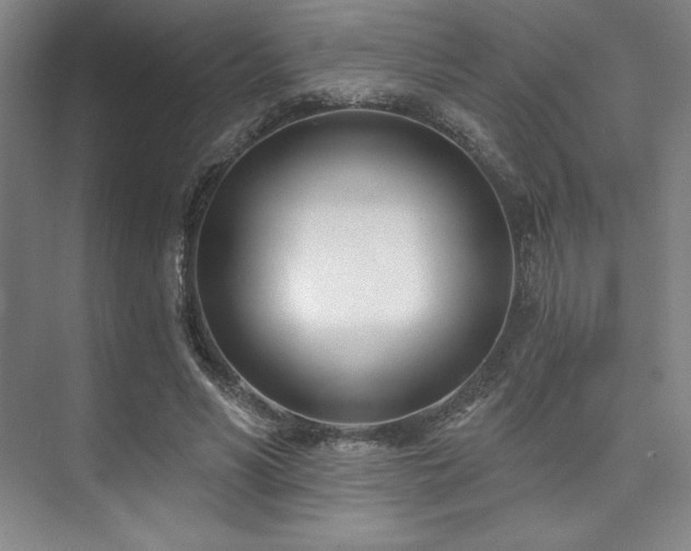 X0000073870590200608101512