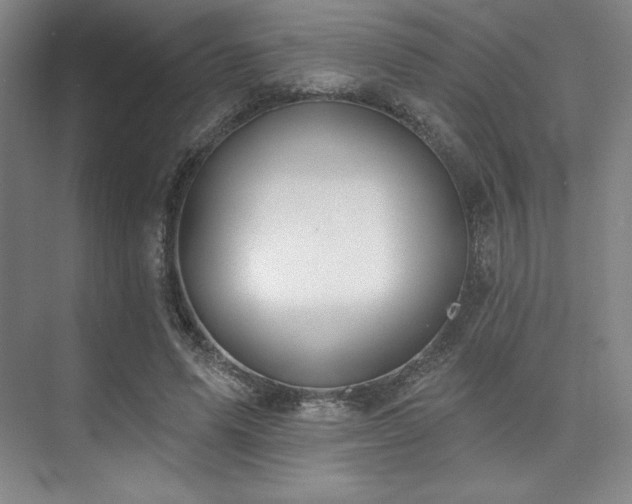 X0000073870591200608101512