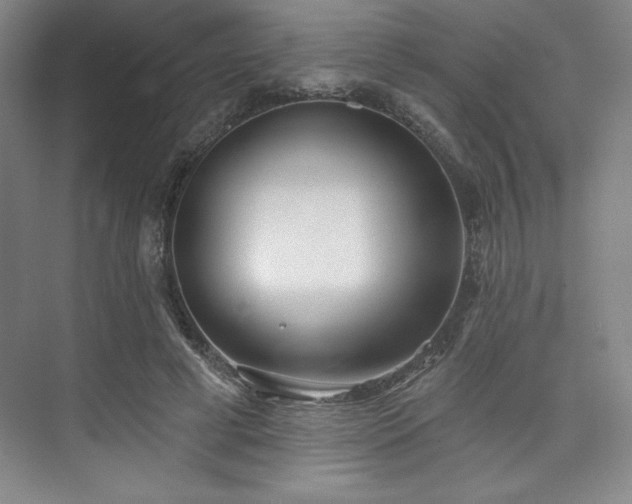 X0000073870593200608101512