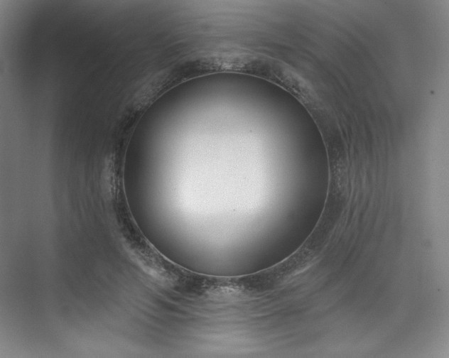 X0000073870594200608101512