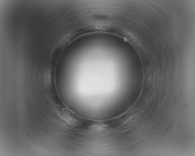 X0000073870595200608101512