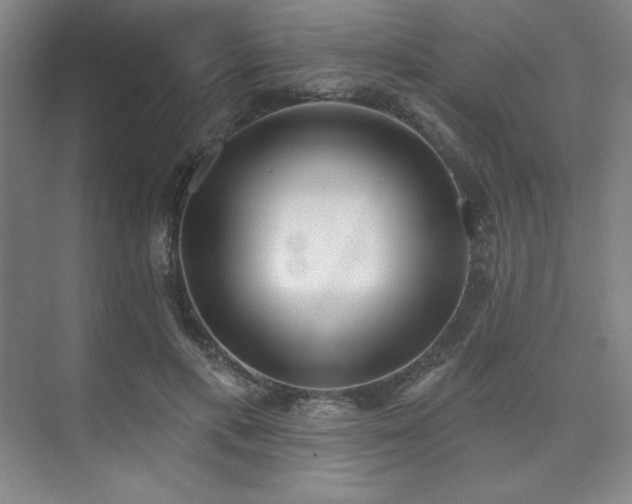 X0000073870597200608101512