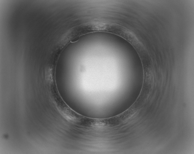 X0000073870598200608101511