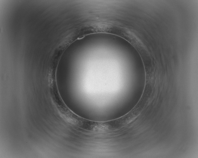 X0000073870599200608101511