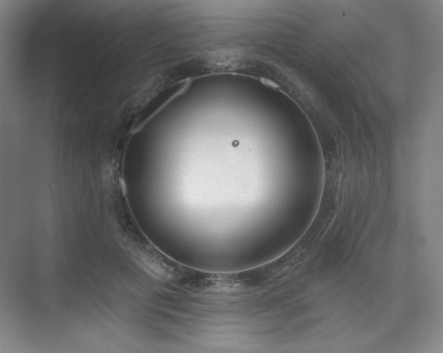 X0000073870601200608101511