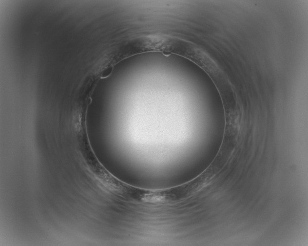 X0000073870602200608101511