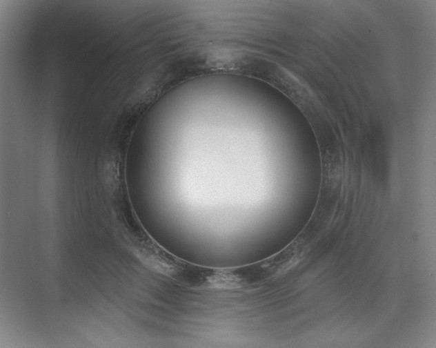 X0000073870603200608101511