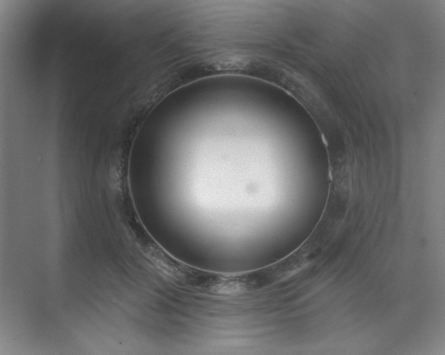 X0000073870604200608101511