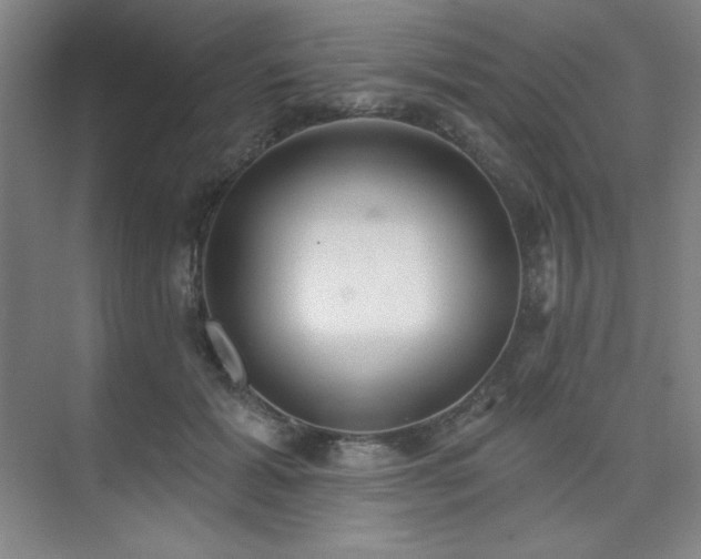 X0000073870605200608101511