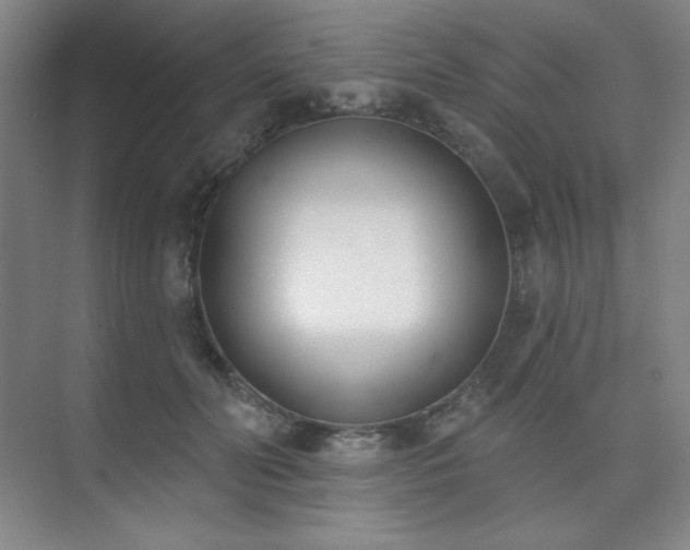 X0000073870606200608101511