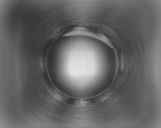 X0000073870607200608101511