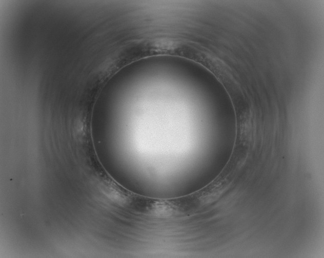 X0000073870608200608101511