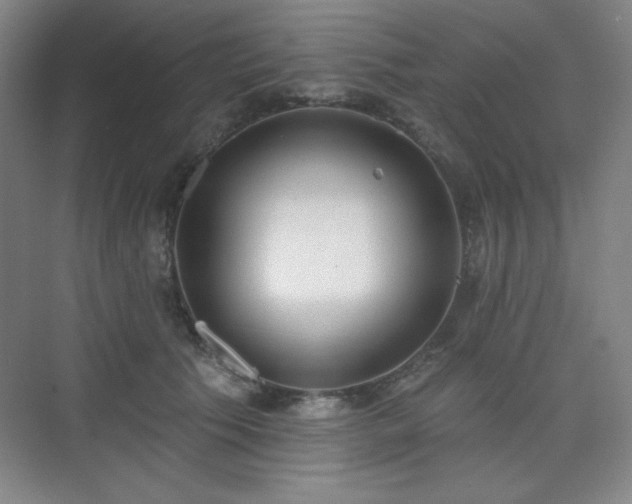 X0000073870609200608101511