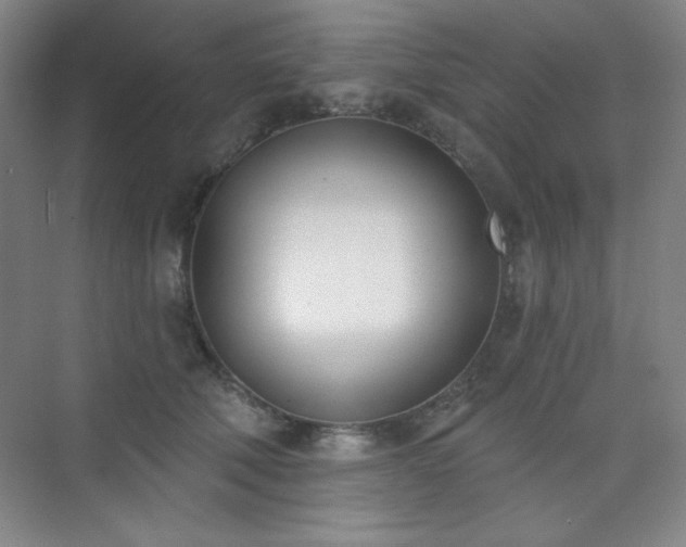 X0000073870610200608101511