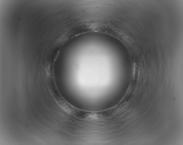 X0000073870611200608101511