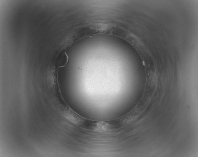 X0000073870612200608101511