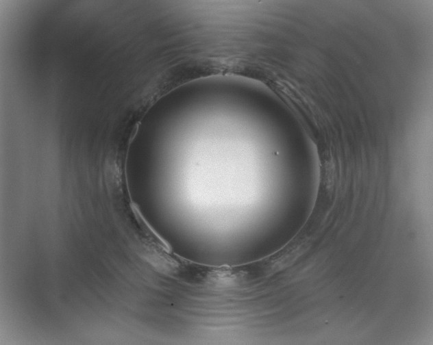 X0000073870613200608101511