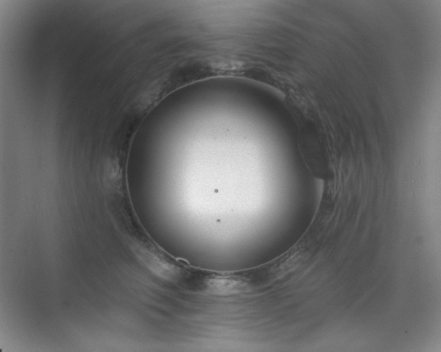 X0000073870614200608101511