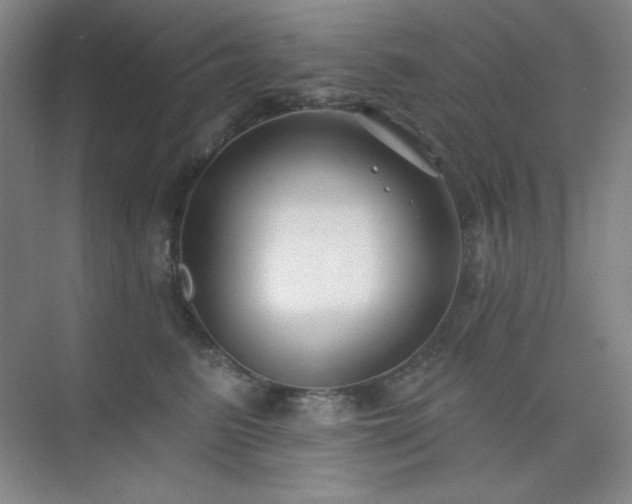 X0000073870615200608101511