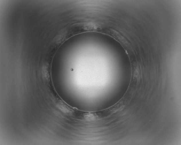 X0000073870616200608101511