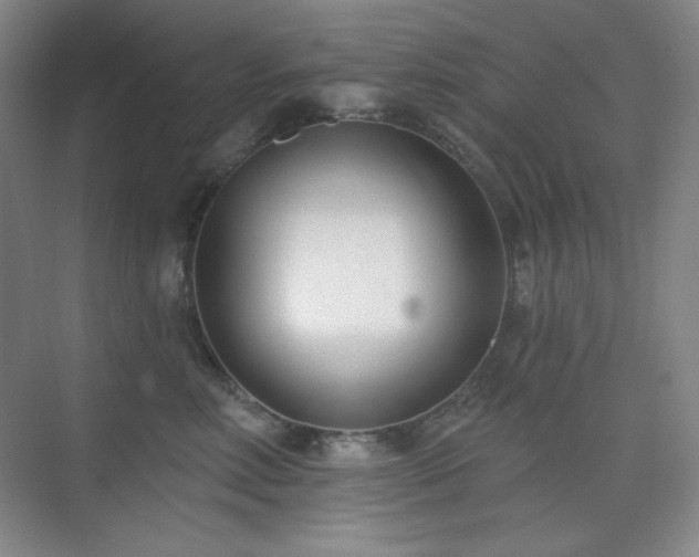 X0000073870618200608101511