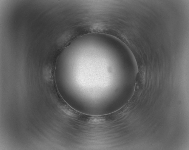 X0000073870619200608101511