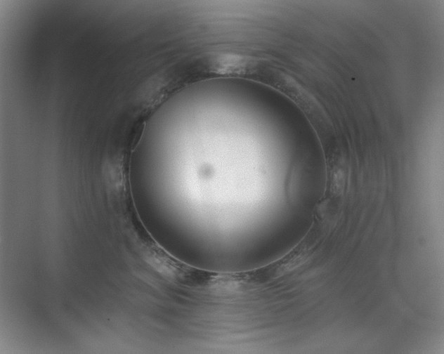 X0000073870620200608101511