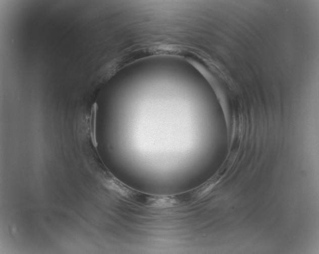 X0000073870621200608101511