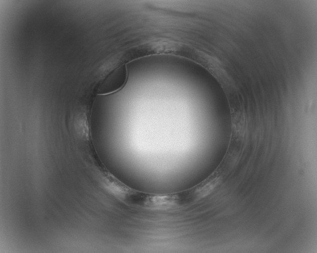 X0000073870622200608101511