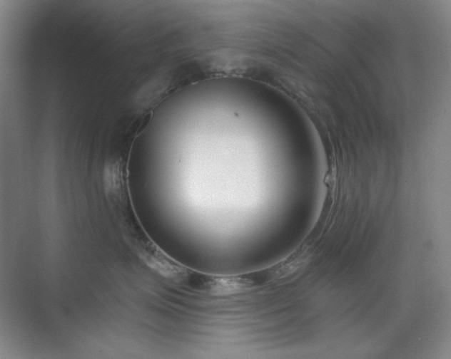 X0000073870623200608101511