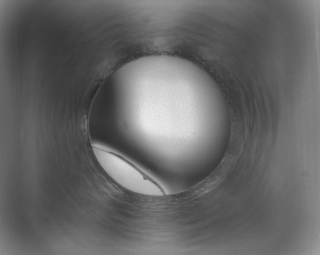 X0000073870624200608101511