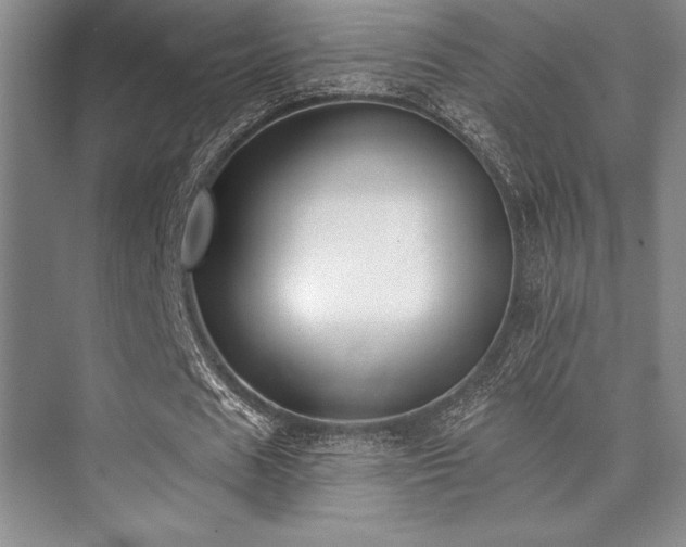 X0000073870625200608101510