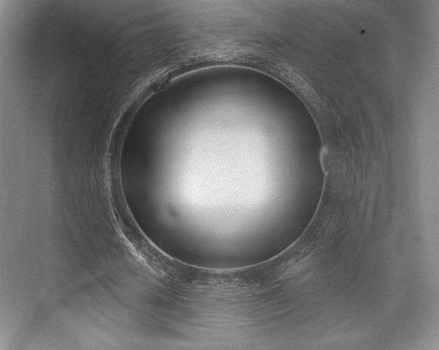 X0000073870626200608101510