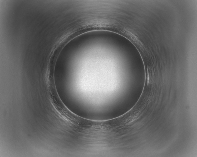 X0000073870627200608101510