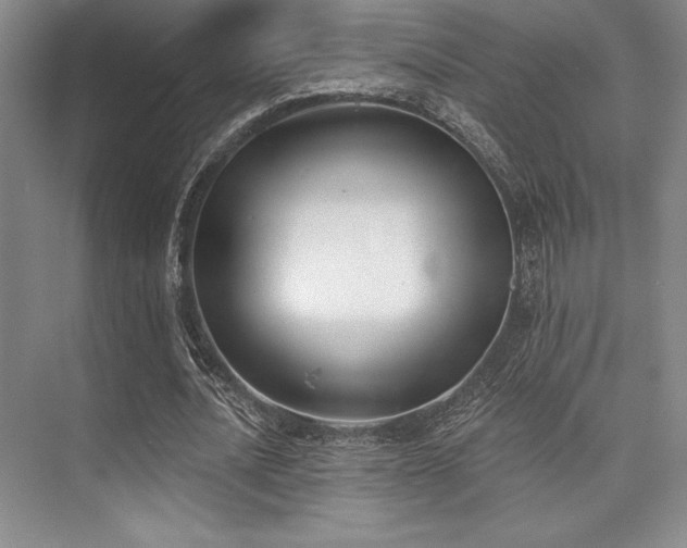 X0000073870628200608101510