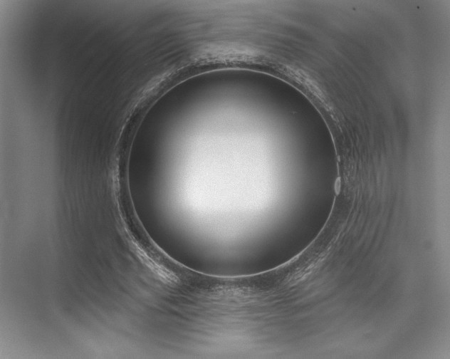 X0000073870629200608101510