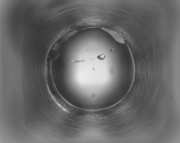 X0000073870630200608101510