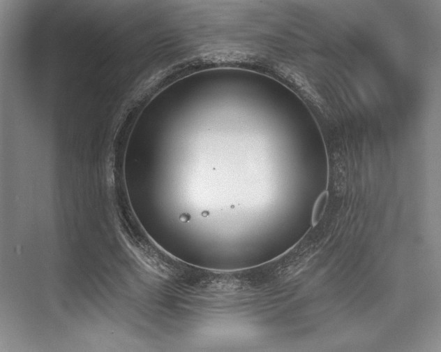 X0000073870631200608101510