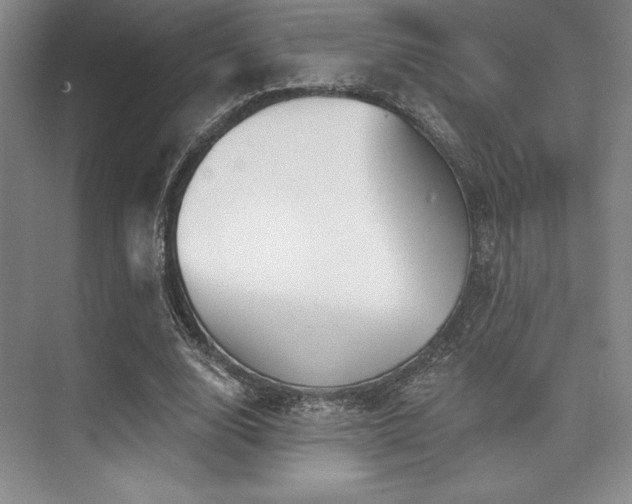 X0000073870632200608101510