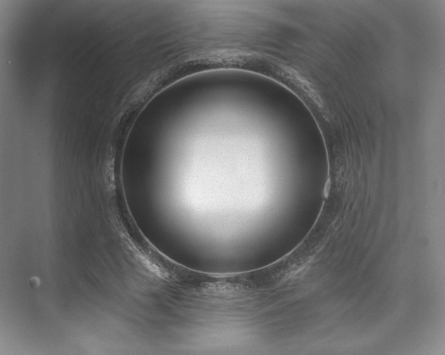 X0000073870633200608101510