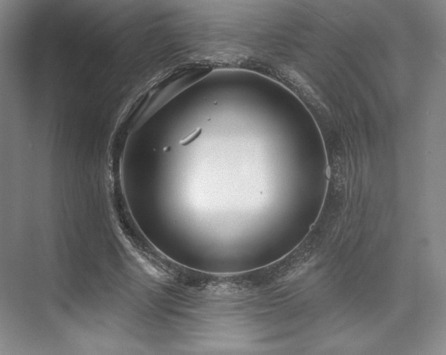 X0000073870634200608101510