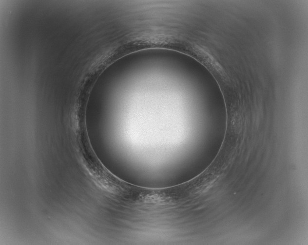 X0000073870635200608101510