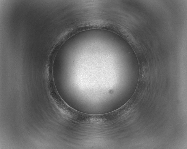 X0000073870636200608101510