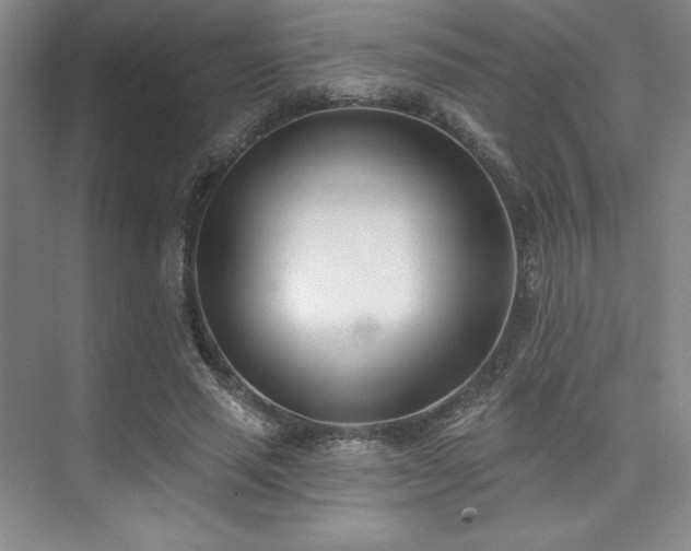 X0000073870637200608101510