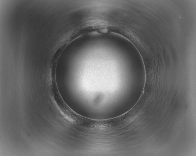 X0000073870638200608101510